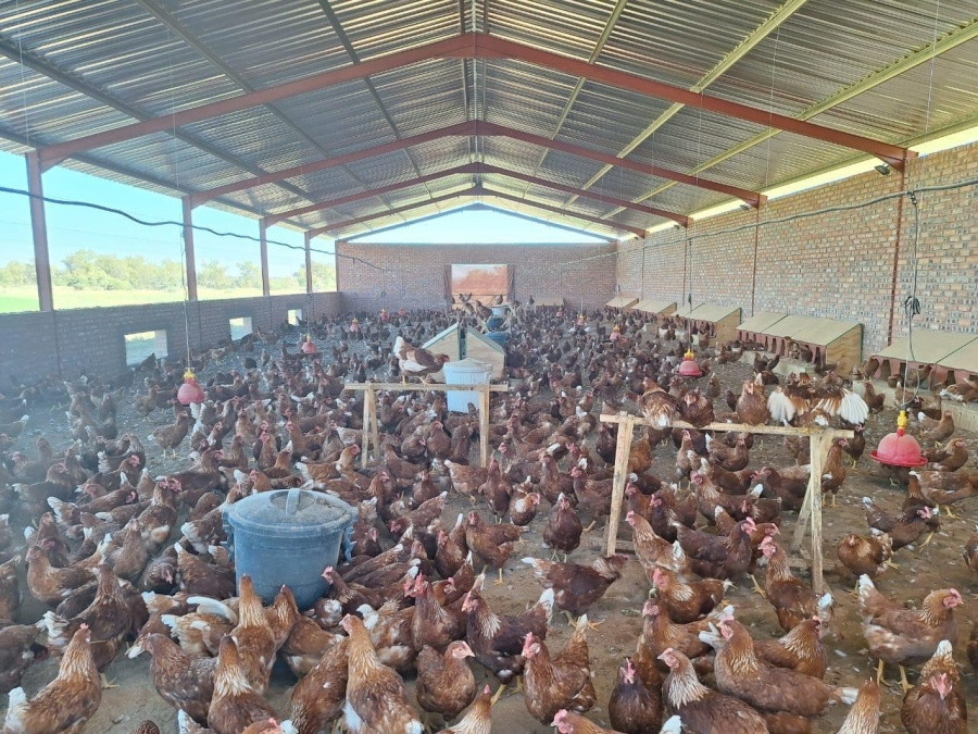 Commercial Property for Sale in Koffiefontein Rural Free State